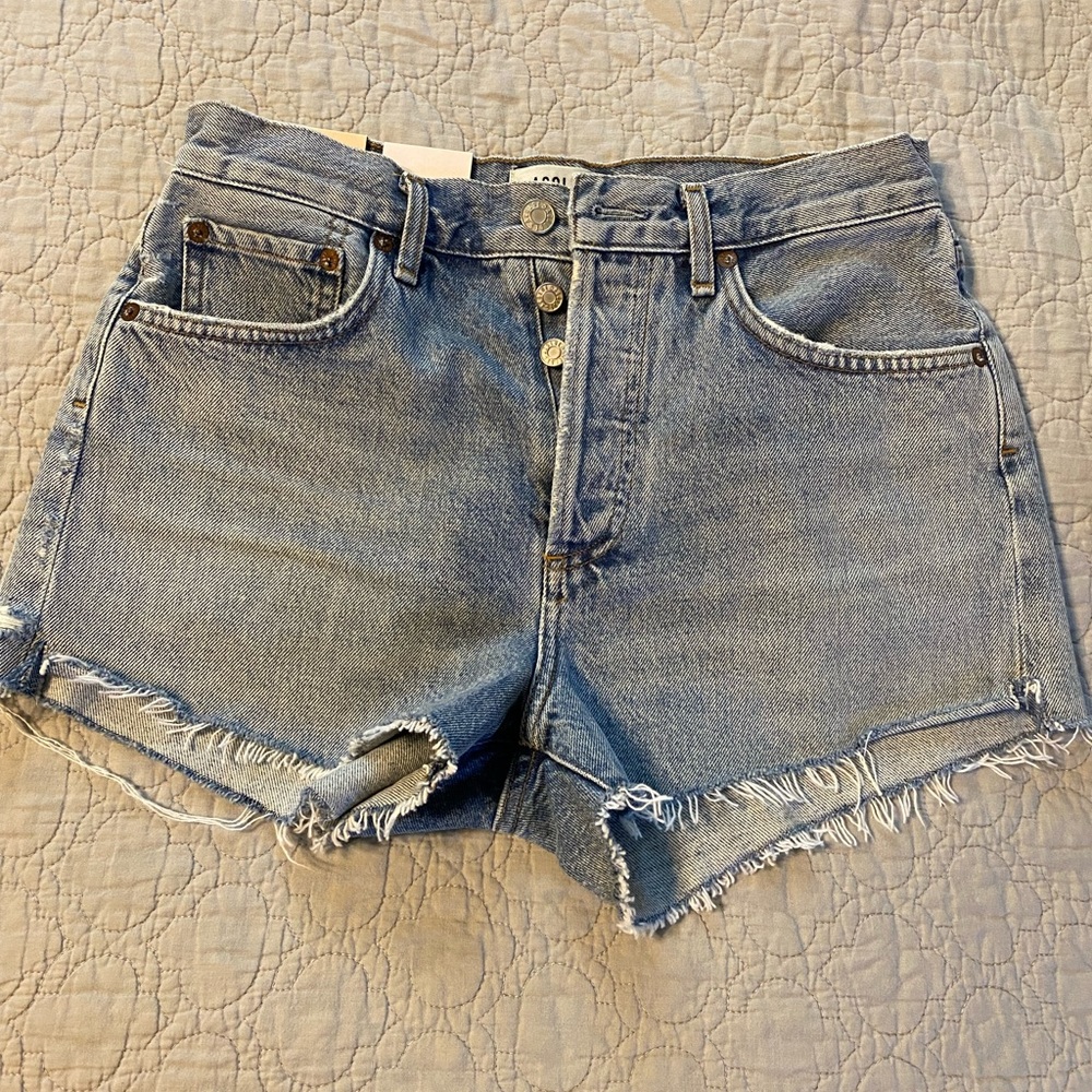 New with tags Agolde size 25 Parker in color Riptide.